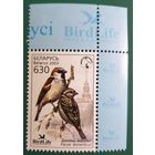 2003 Птица года в Беларуси - Домовый воробей Беларусь