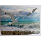 Календарик 2009 год