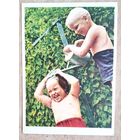 Становов А. В жаркий день. 1962 г. Чистая.