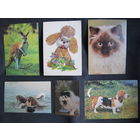 6 открыток с животными