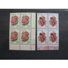 Продажа коллекции с 1 рубля! Чистые почтовые марки РБ в квартблоках.