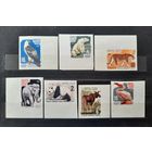 СССР 1964г. Серия из 7 марок. Московский зоопарк. БЗ с полями.**