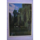 Львов. Уголок Стрыйского парка; 1962, чистая.