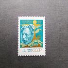 Марка СССР 1975 год М.К.Чюрленис