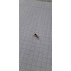 Заводная головка Longines.