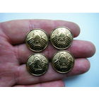 Пуги Генеральские РБ т.м. 22 мм.