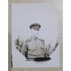 Фото в коллекцию