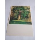 Открытка 1989г. И. Левитан. Дуб.