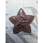 Звезда РККА обр. 1918 г.