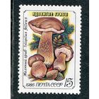 СССР 1986. Ядовитые грибы. Желчный гриб