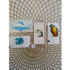 Вкладыши от жвачки, наклейки.