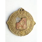 Должностной знак Полтава Выборный товариществ. Россия Российская империя #465