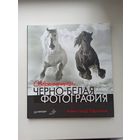 Современная чёрно-белая фотография.