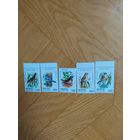 Беларусь серия марок 1998г. Птицы