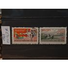 ВЬЕТНАМ 1968г. Вьетконг. Гаш.