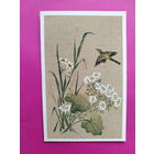 Поздравляем! Чистая. Двойная. 1987 года. Тренделева. 2345.