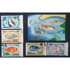 КНДР 1991 рыбы .