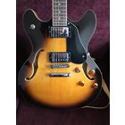 Электро-акустическая гитара Washburn HB-30 с футляром