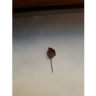 Значок ГДР общества Дружбы членский