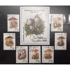 Мадагаскар. 1990 год. Флора. Грибы. Блок и 7 марок (987)