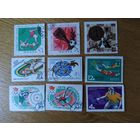 Сборный лот марок СССР. Спорт. Разные годы.