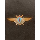 Классность летчик 1