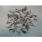 Диоды (одним лотом!)