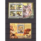 Гвинея 2011 Фауна домашние кошки - 1 лист + 1 блок MNH**