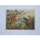 Владимирский Буратино сказка 1955 10х15 см