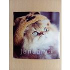 О-12. ПОДПИСАННАЯ ОТКРЫТКА СДЕЛАННАЯ ИЗ КАЛЕНДАРЯ. КИТАЙ. КОТ.