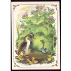 В.Каневский Гадкий утёнок 3
