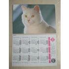 Карманный календарик. Кошки . 1996 год