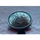 Пуговица морская (Европа)