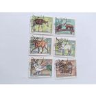 ГДР  1980 6м ЗОО