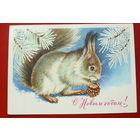 С новым годом! Чистая. 1981 года. Достян. 1473.