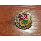 Знак значок Вязники золотое кольцо