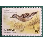 2000 Птицы Беларусь
