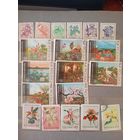 Флора сборный Польша