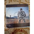 Пластинки Pink Floyd - Delicate Sound Of Thunder -2LP. Фирма "Мелодия