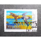 Марка СССР 1990 год Утки