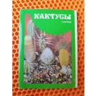 Кактусы. Выпуск 1. 1984 год. 22 открытки