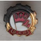 ДСО Красное знамя. ДСШ