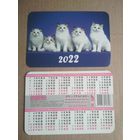 Карманный календарик . Котики. 2022 год