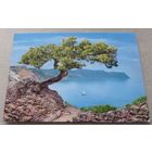 Посткроссинг. Открытка из РФ: пейзаж  (10х15). Прошла почту. Издательство "Марка". Художественная марка, чёткий штемпель.