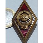 Значок " Высшая школа МВД "