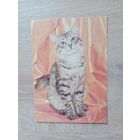 Календарик 1993