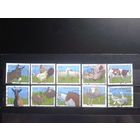 Бельгия 2006 Домашние животные Полная серия Михель-9,0 евро гаш