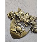 Знак военной академиии США