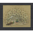 Китай 2004** Фауна Птицы Павлины