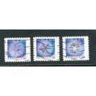 Франция. Снежинки